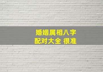 婚姻属相八字配对大全 很准